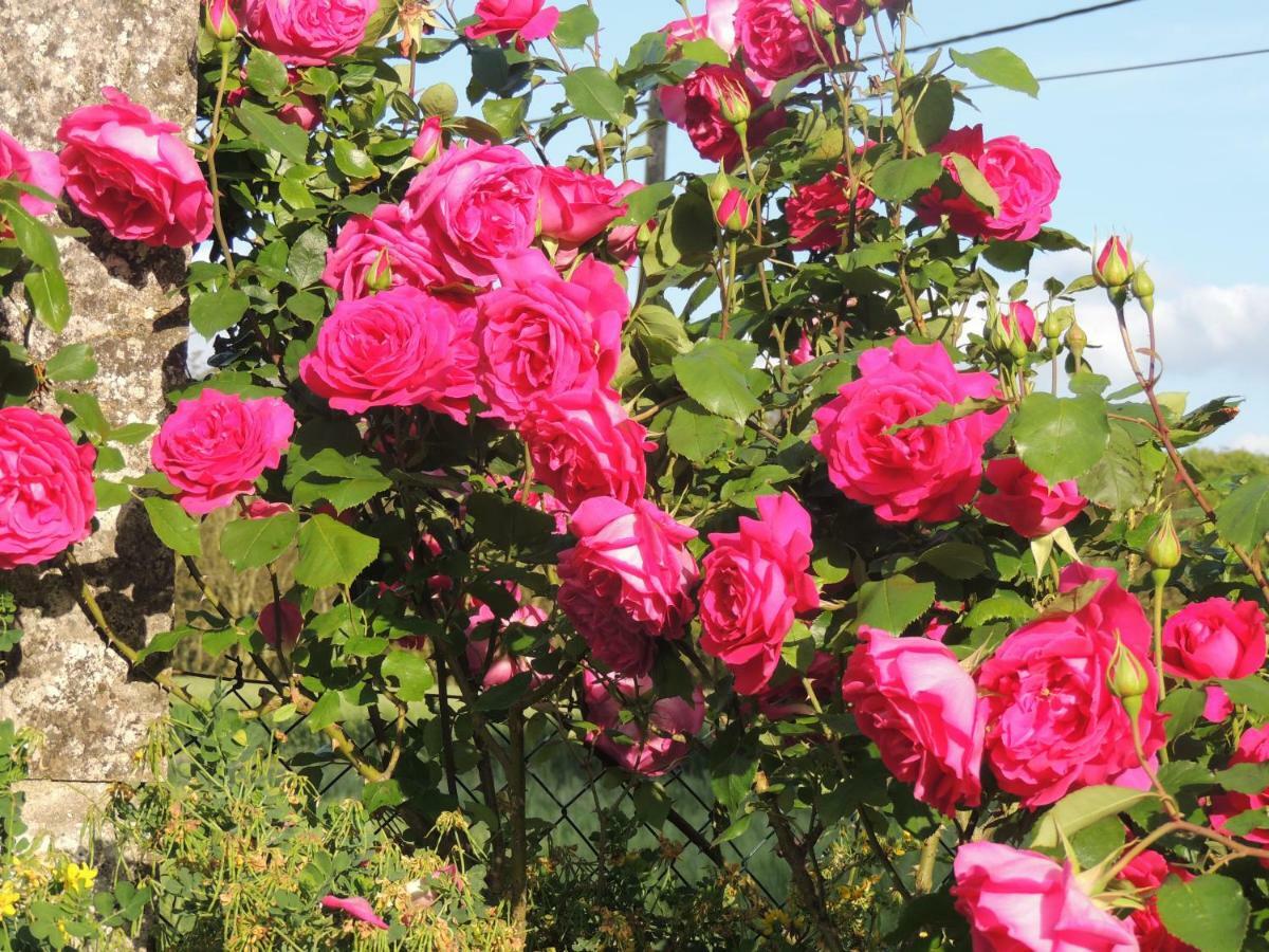 Bed and Breakfast Le Chemin Challignac Экстерьер фото